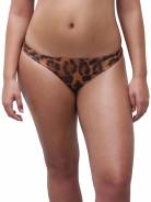 Труси бікіні