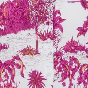 A11-white jungle